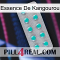 Kangaroo Essence 28